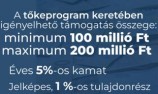 DEMJÁN SÁNDOR TŐKEPROGRAM